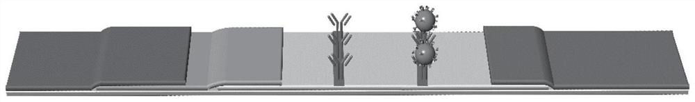 Aggregation-induced emission microsphere based on N-hydroxyethyl-1, 8-naphthalimide tetraphenyl ethylene derivative and application of aggregation-induced emission microsphere