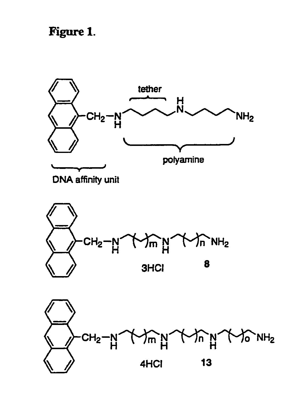 Polyamine conjugates as selective NMDA inhibitors and anti-cancer drugs