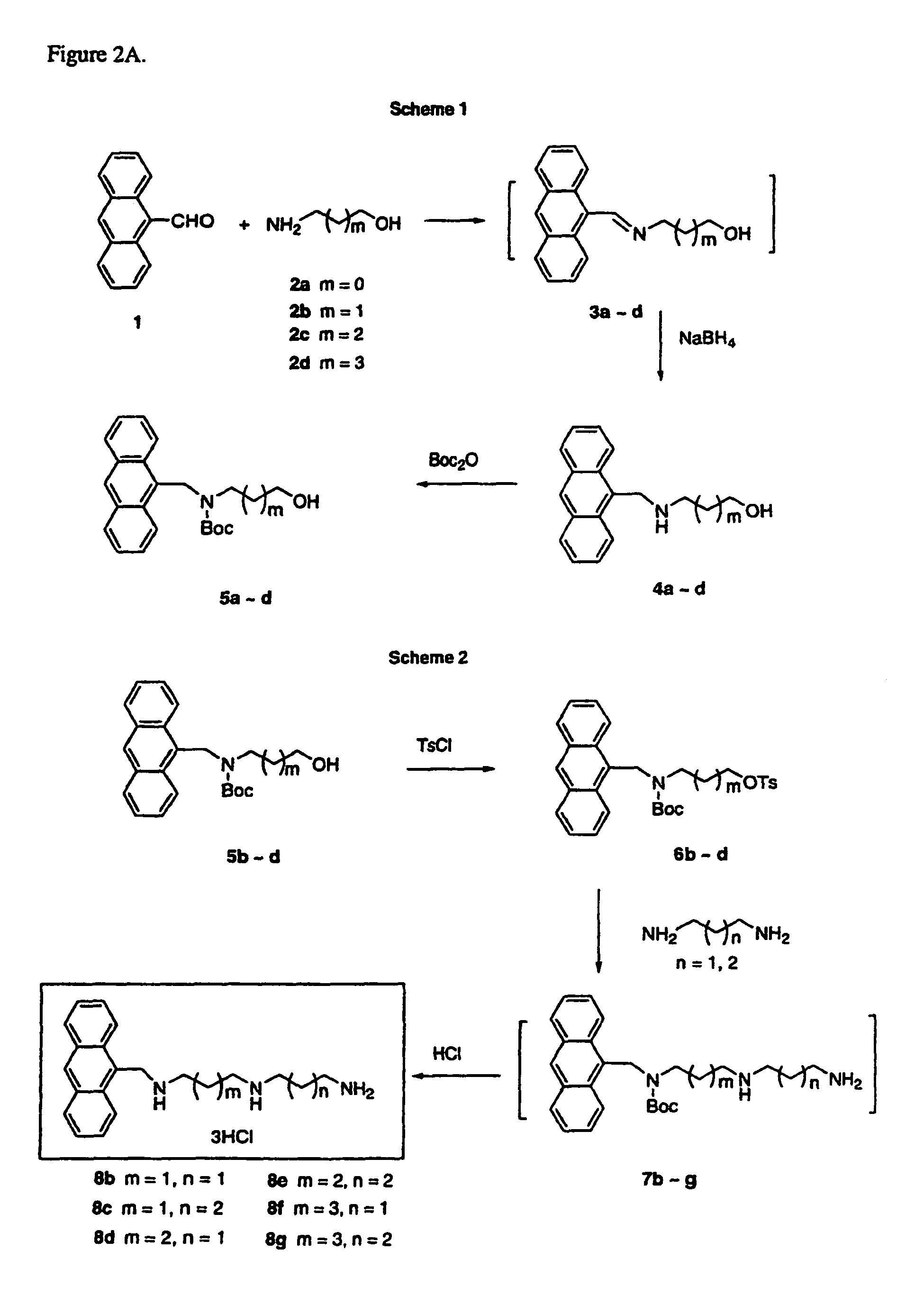 Polyamine conjugates as selective NMDA inhibitors and anti-cancer drugs