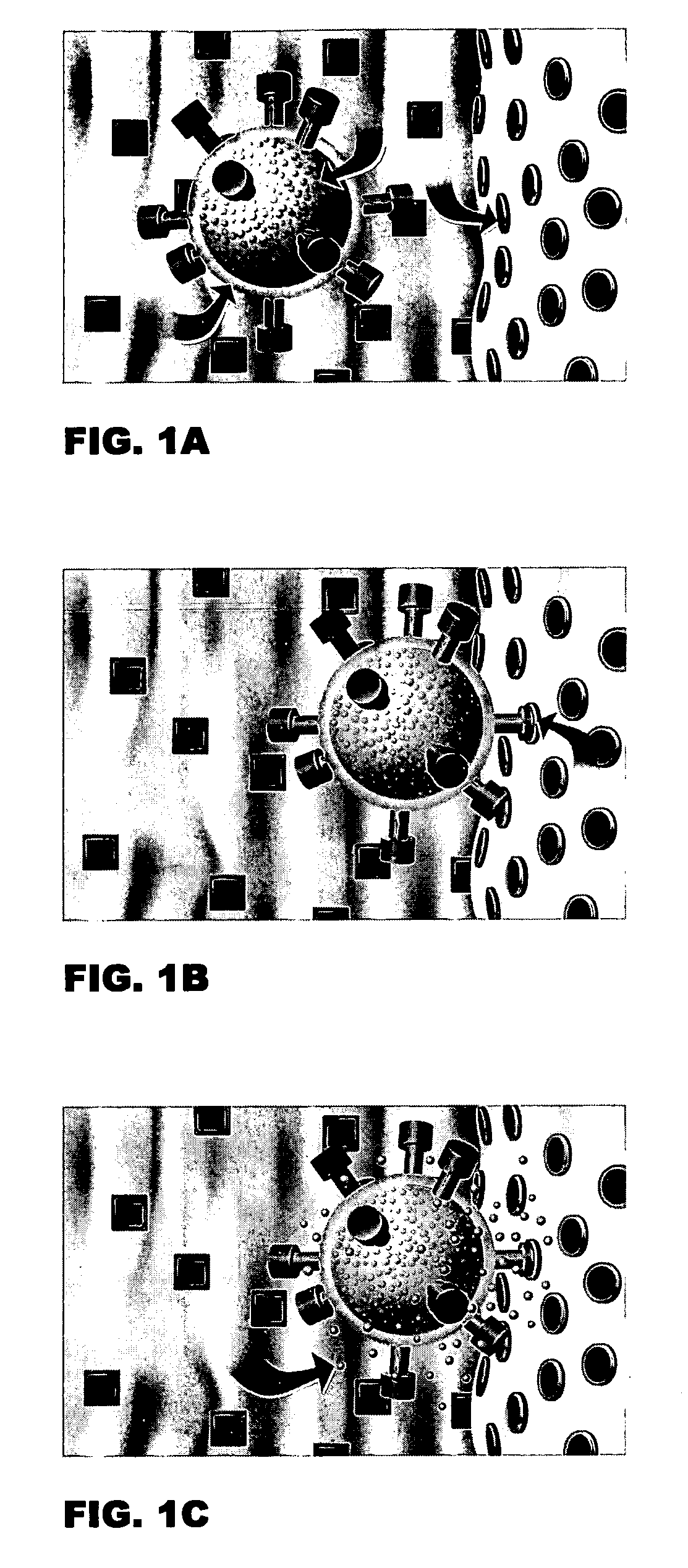 Skeletally targeted nanoparticles