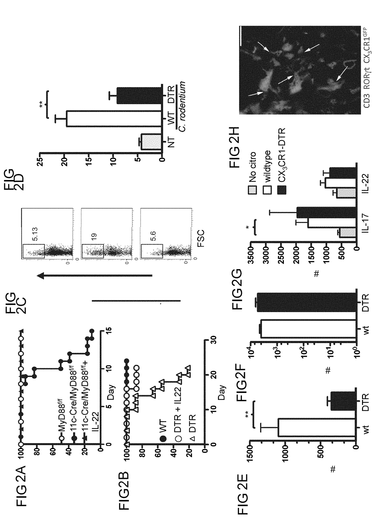 Methods of treating inflammatory bowel disease by administering tumor necrosis factor-like ligand 1A or an agonistic death-domain receptor 3 antibody