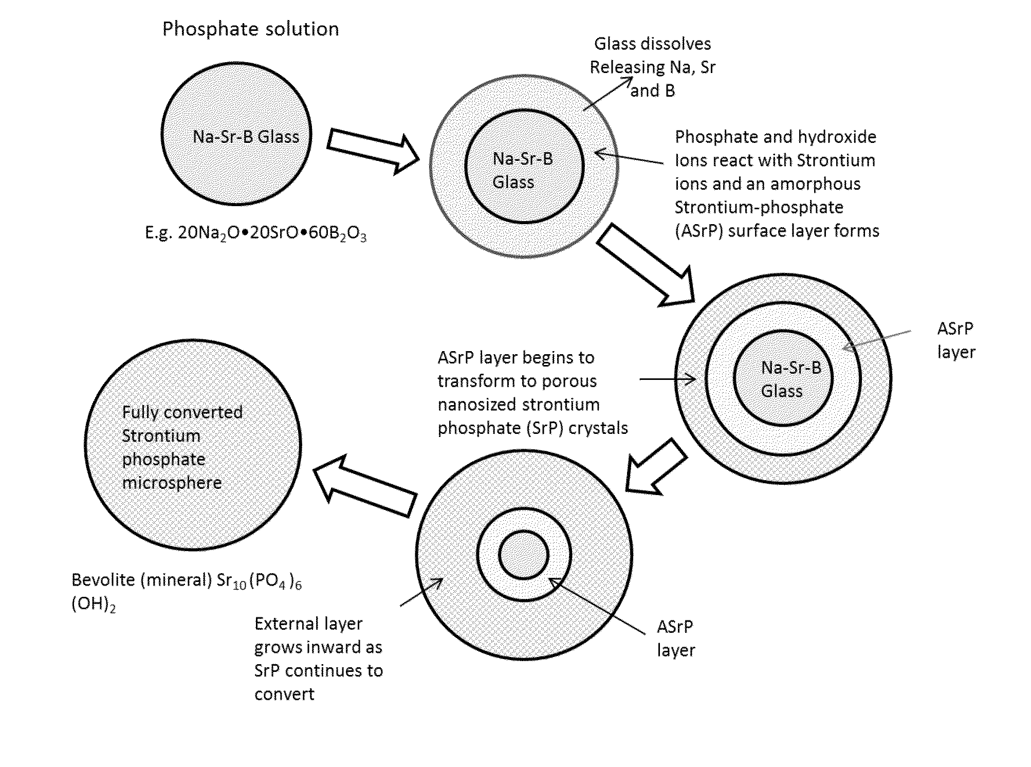 Strontium phosphate microparticle for radiological imaging and therapy