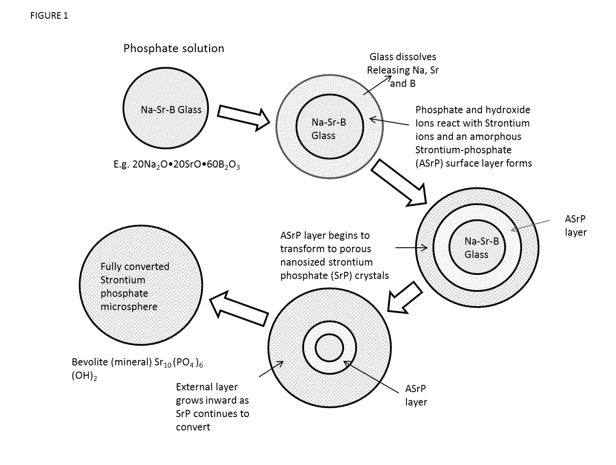 Strontium phosphate microparticle for radiological imaging and therapy