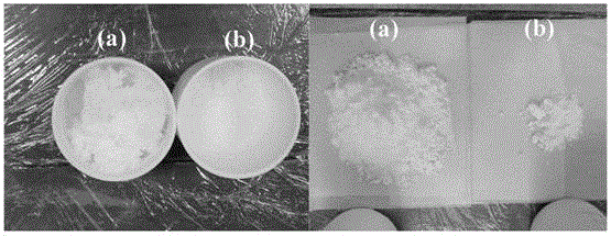 A kind of preparation method of fluffy nanometer yttrium oxide powder