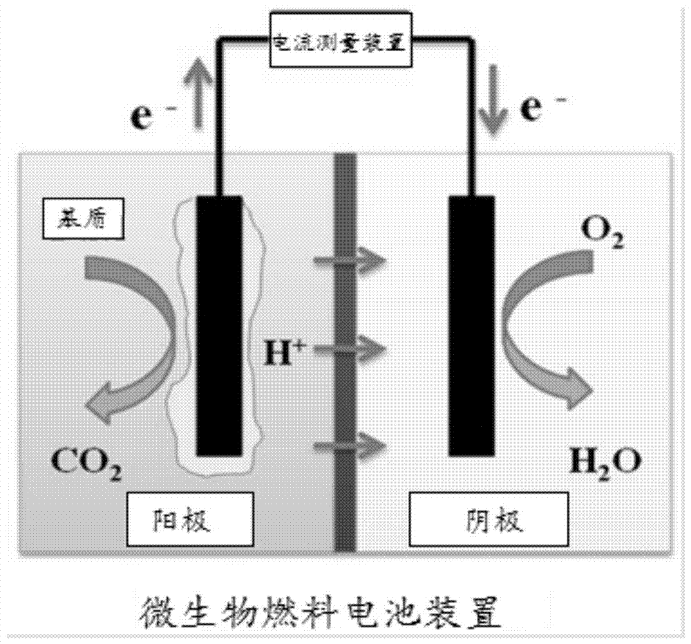 An experimental method for improving the output power of microbial fuel cells using droplet microfluidic technology