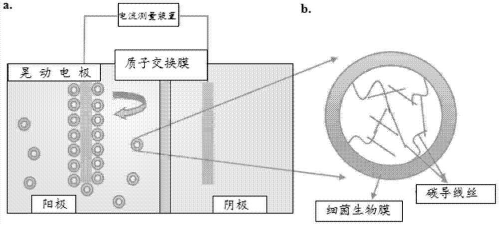 An experimental method for improving the output power of microbial fuel cells using droplet microfluidic technology