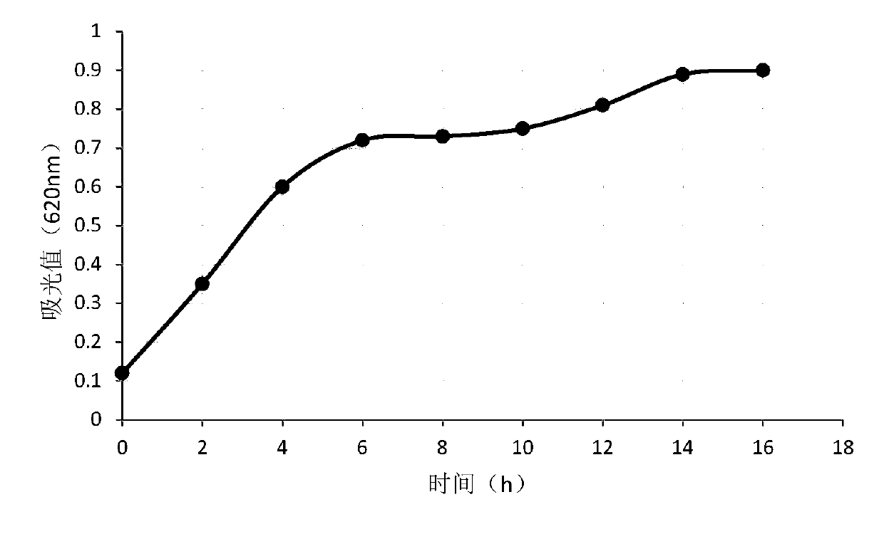 Biological bacterial fertilizer, preparation method of biological bacterial fertilizer and application in prevention and treatment for southern blight and improvement of soil environments