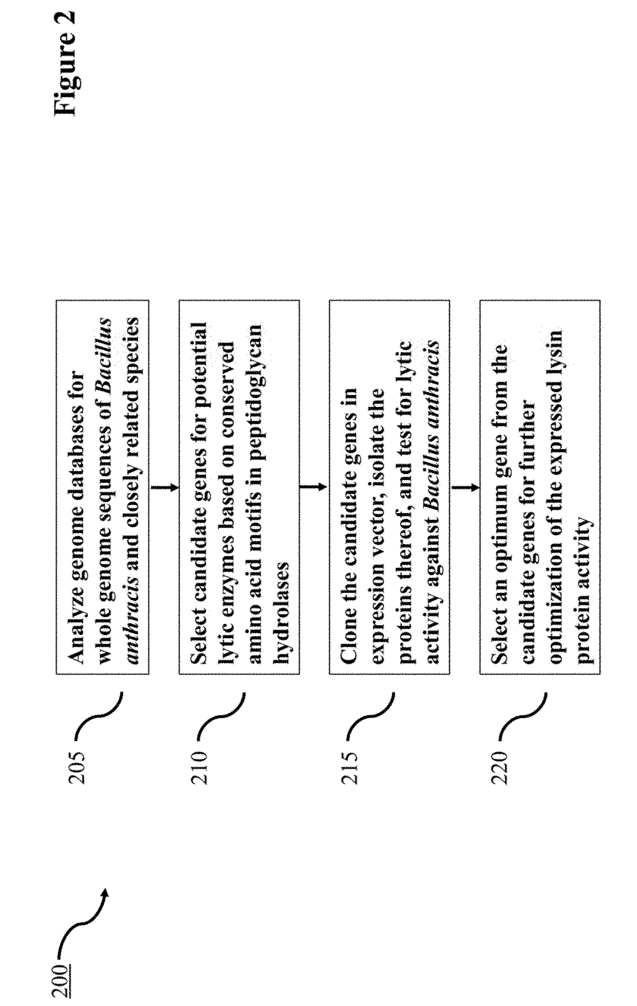 Lysin Agent and Method of Use for Diagnostic Testing