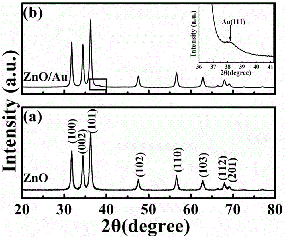 Preparation method for gold-coated zinc oxide flower-like microspheres