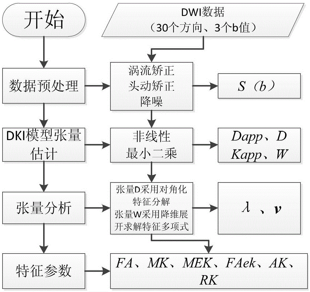 High-order Tensor Feature Parameters Extraction Method for Diffusion Kurtosis Tensor Imaging