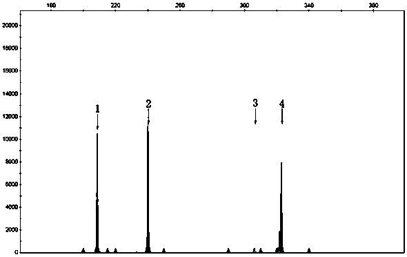 Detection primers for gene mutation related to spinal muscular atrophy and its application