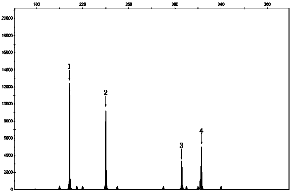 Detection primers for gene mutation related to spinal muscular atrophy and its application