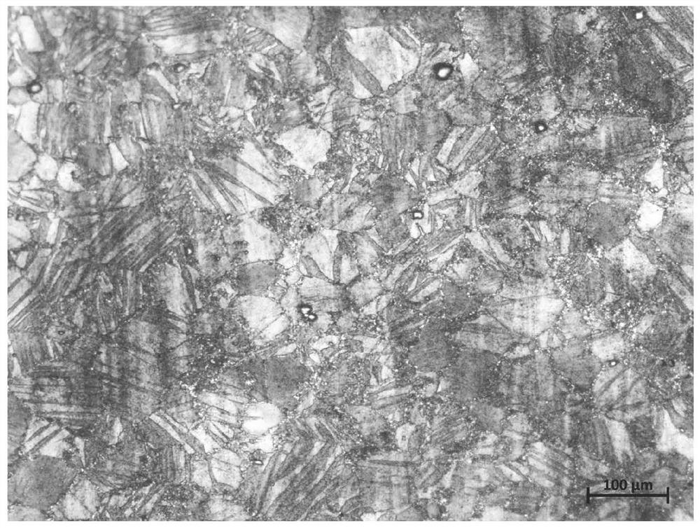 Processing method for improving high-temperature creep property of magnesium alloy through rolling and hammering