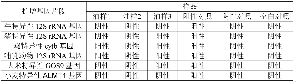 Illegal cooling oil identification method and application thereof