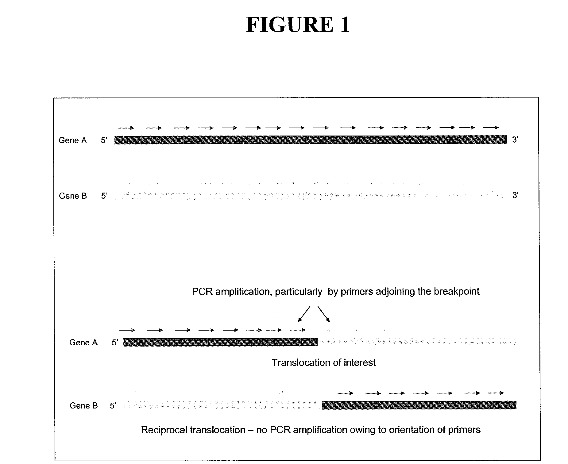 Method for DNA breakpoint analysis