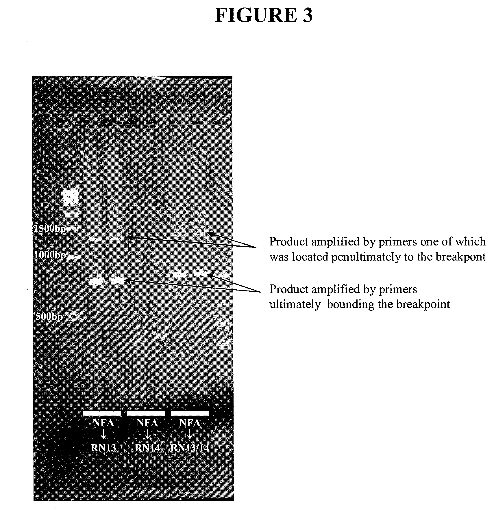 Method for DNA breakpoint analysis