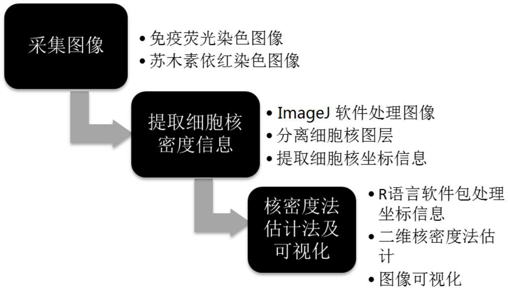 Visualization method for quantifying glioma invasiveness based on kernel density function