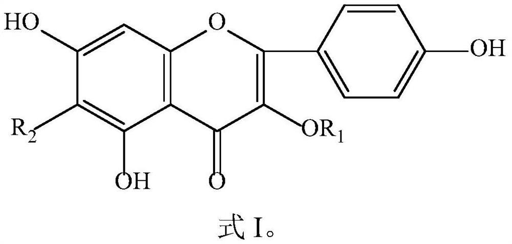 Application of nicotinic glycoside or analogue thereof in preparation of medicine for preventing and treating traumatic brain injury