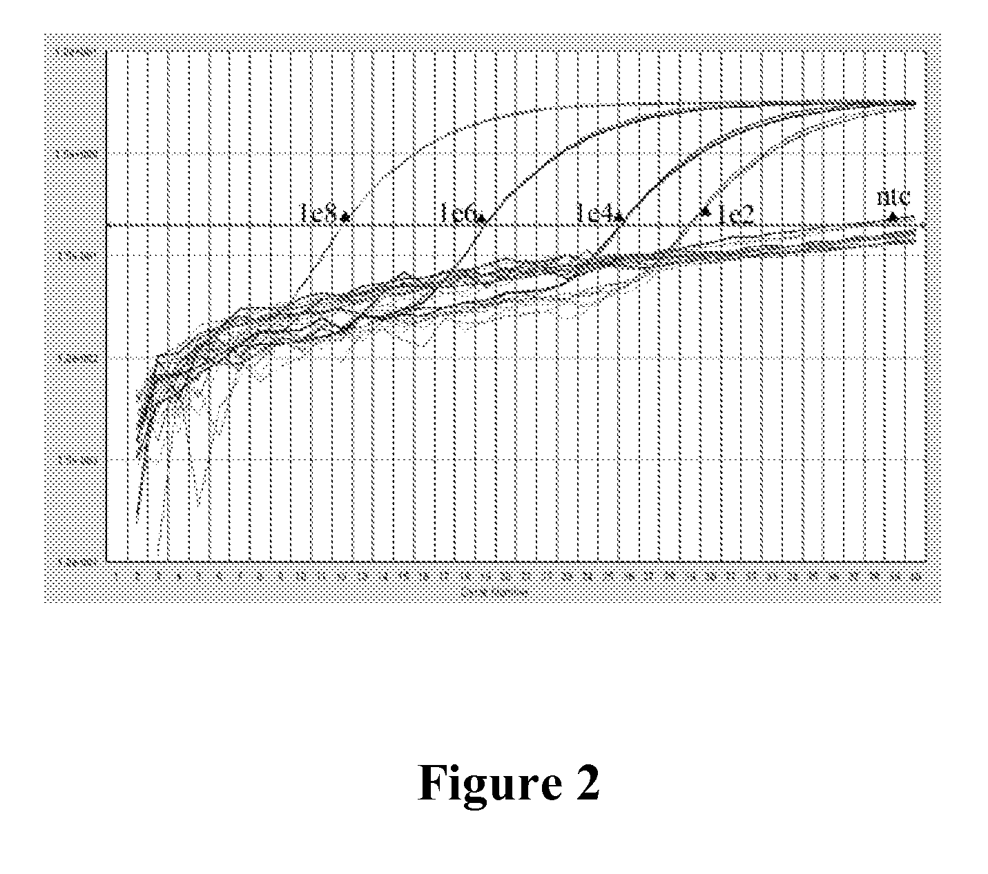 Dual Function Primers for Amplifying DNA and Methods of Use