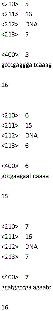 Barnea dilatata mitochondrial COI gene amplification primer