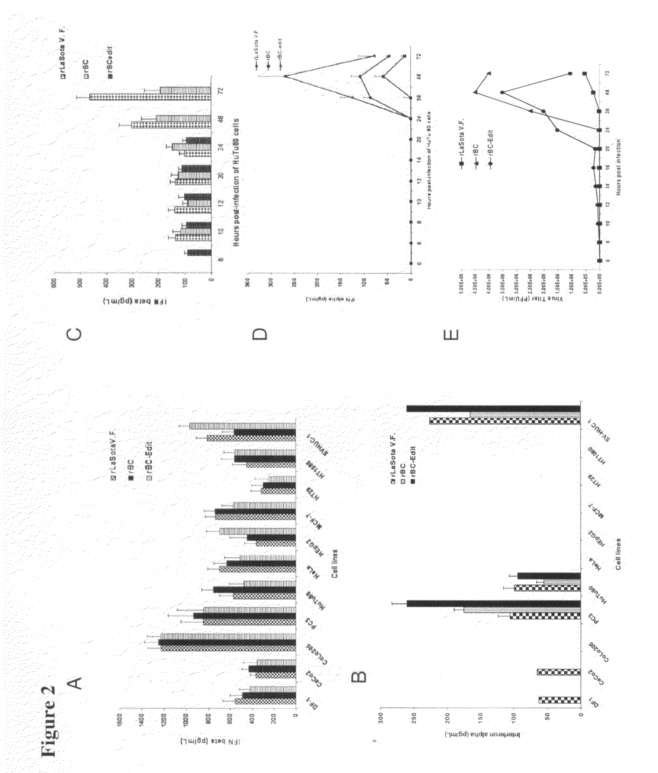 Genetically-engineered newcastle disease virus as an oncolytic agent, and methods of using same