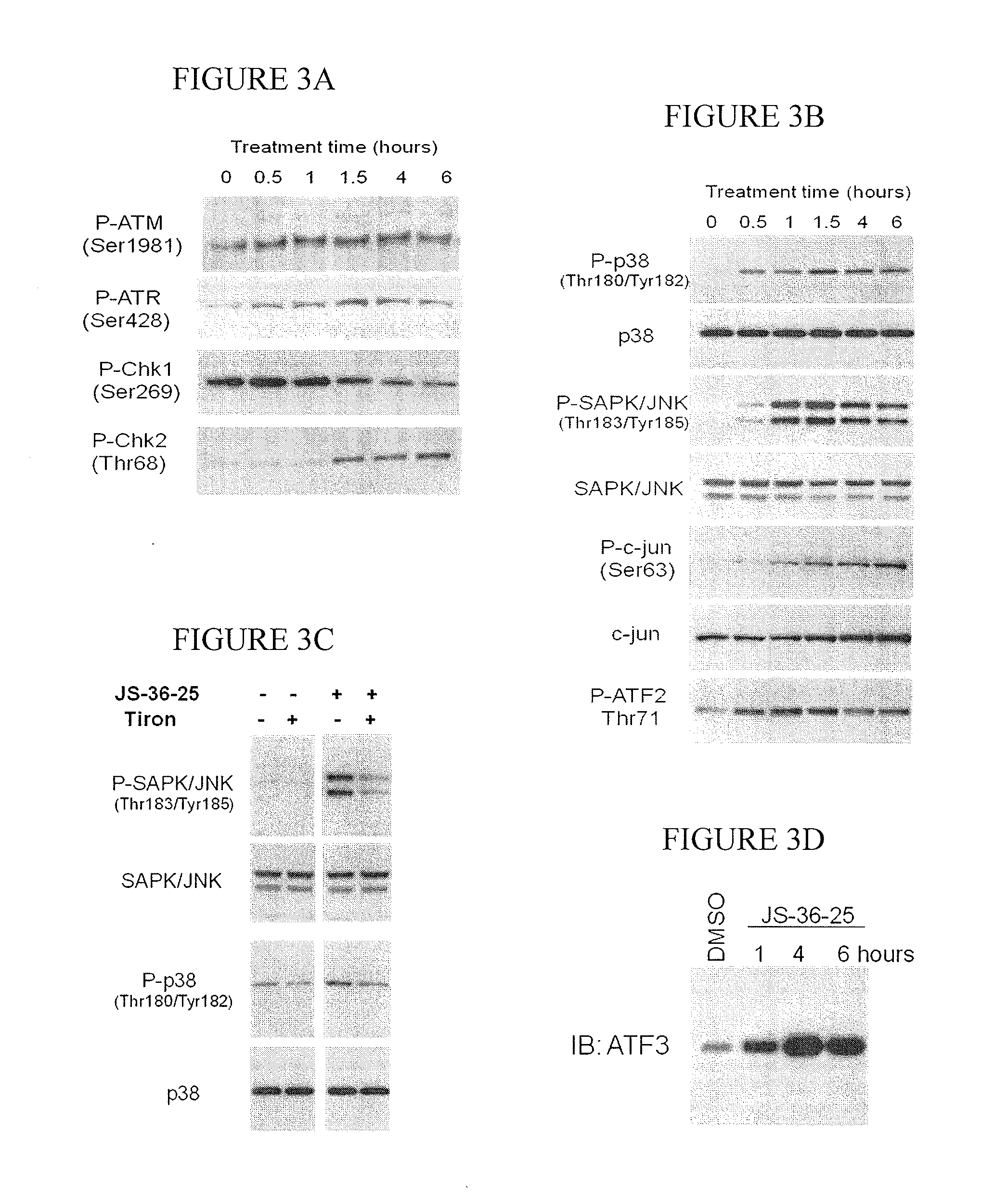 Diazeniumdiolated compounds, pharmaceutical compositions, and method of treating cancer