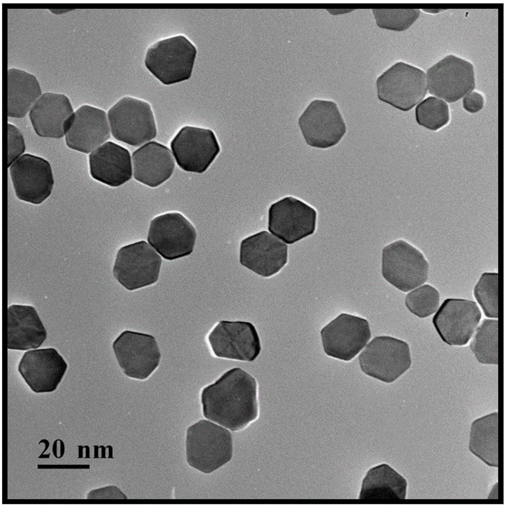 Precious metal plasma effect enhanced up-conversion fluorescence structure-based method for hypersensitive detection of vascular endothelial growth factor