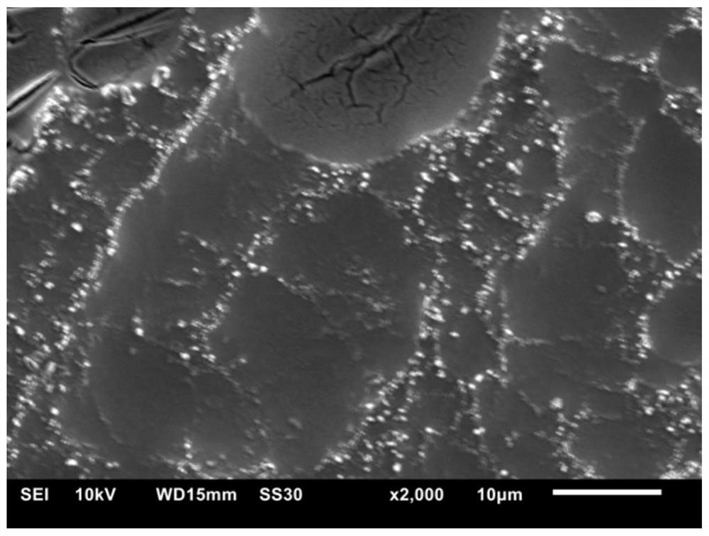 A high-efficiency electrode for treating industrial circulating cooling water and its preparation method