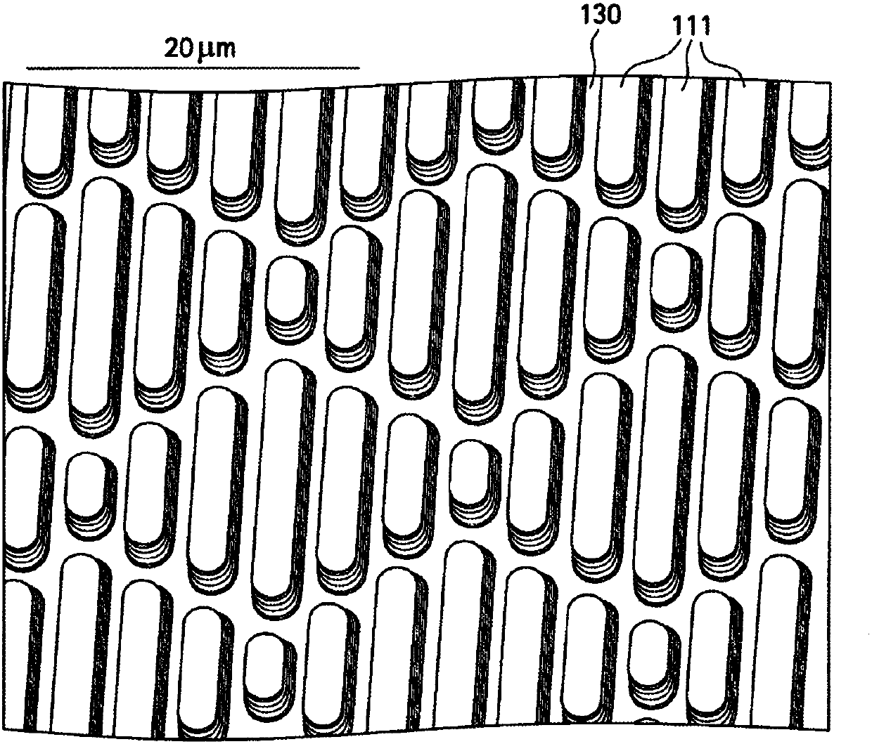 Surface topographies for non-toxic bioadhesion control