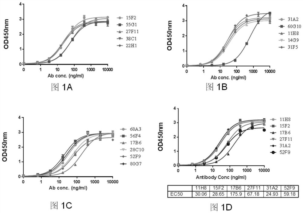 A kind of chimeric antigen receptor and its application