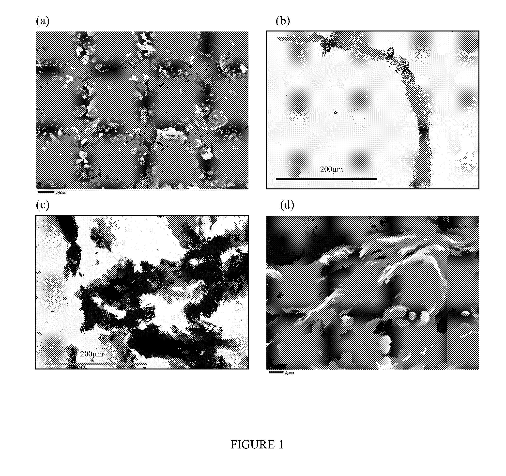 Methods and compositions for papermaking