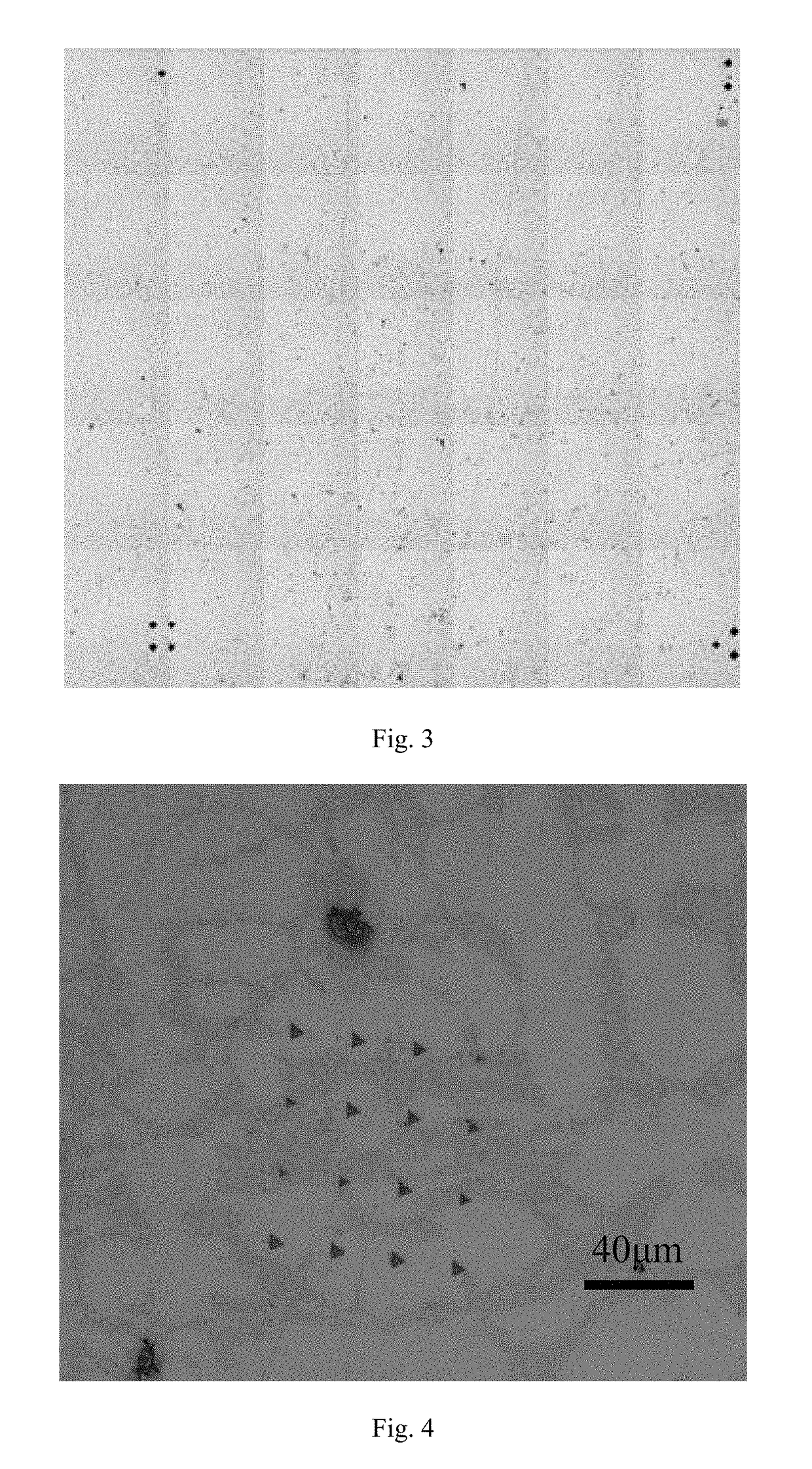 Full-field statistical & characterizing method of fluid micro-explored strain for alloy microstructure