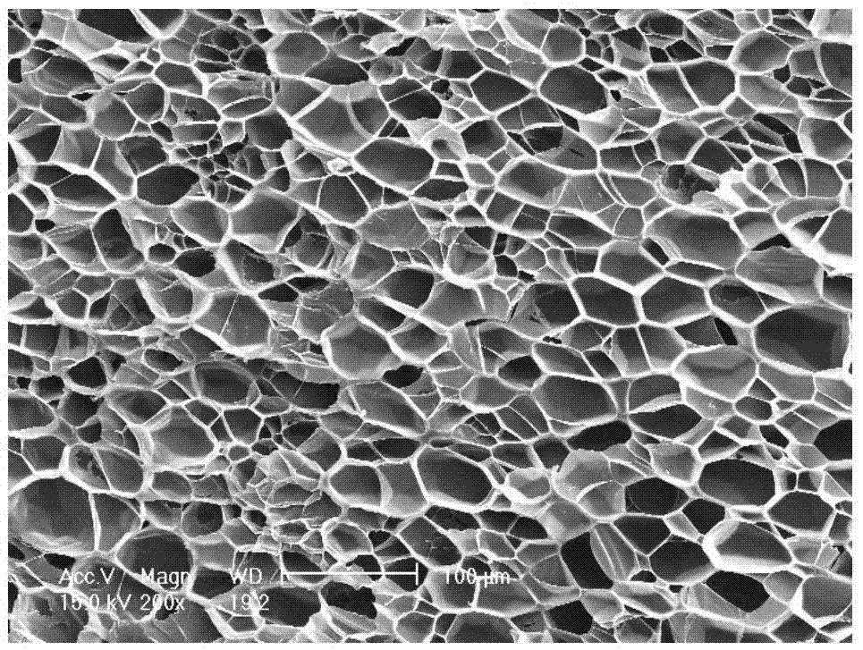 Propylene copolymer microcellular foam materials and preparation method thereof