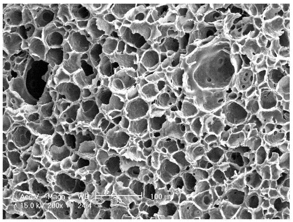 Propylene copolymer microcellular foam materials and preparation method thereof