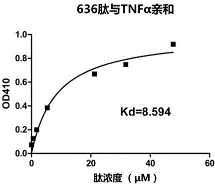 High-affinity peptide for tumor necrosis factor alpha and application of high-affinity peptide