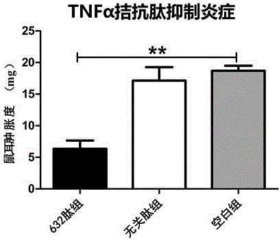 High-affinity peptide for tumor necrosis factor alpha and application of high-affinity peptide