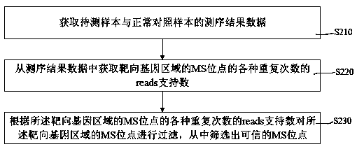 Microsatellite instability detection device, computer equipment and computer storage medium