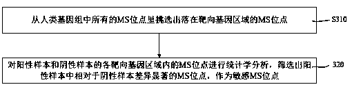 Microsatellite instability detection device, computer equipment and computer storage medium