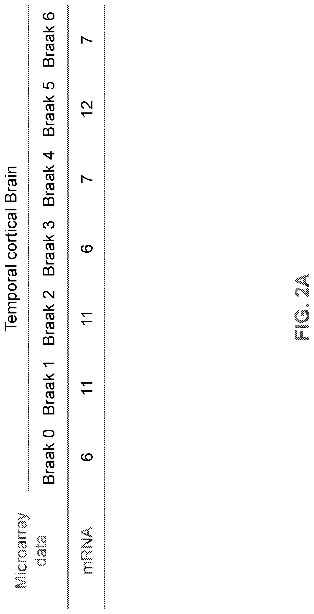 Use of mir-204 inhibitor to increase nurr1 protein expression