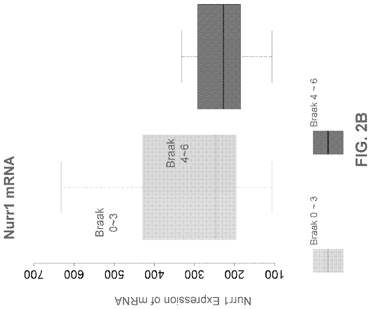 Use of mir-204 inhibitor to increase nurr1 protein expression