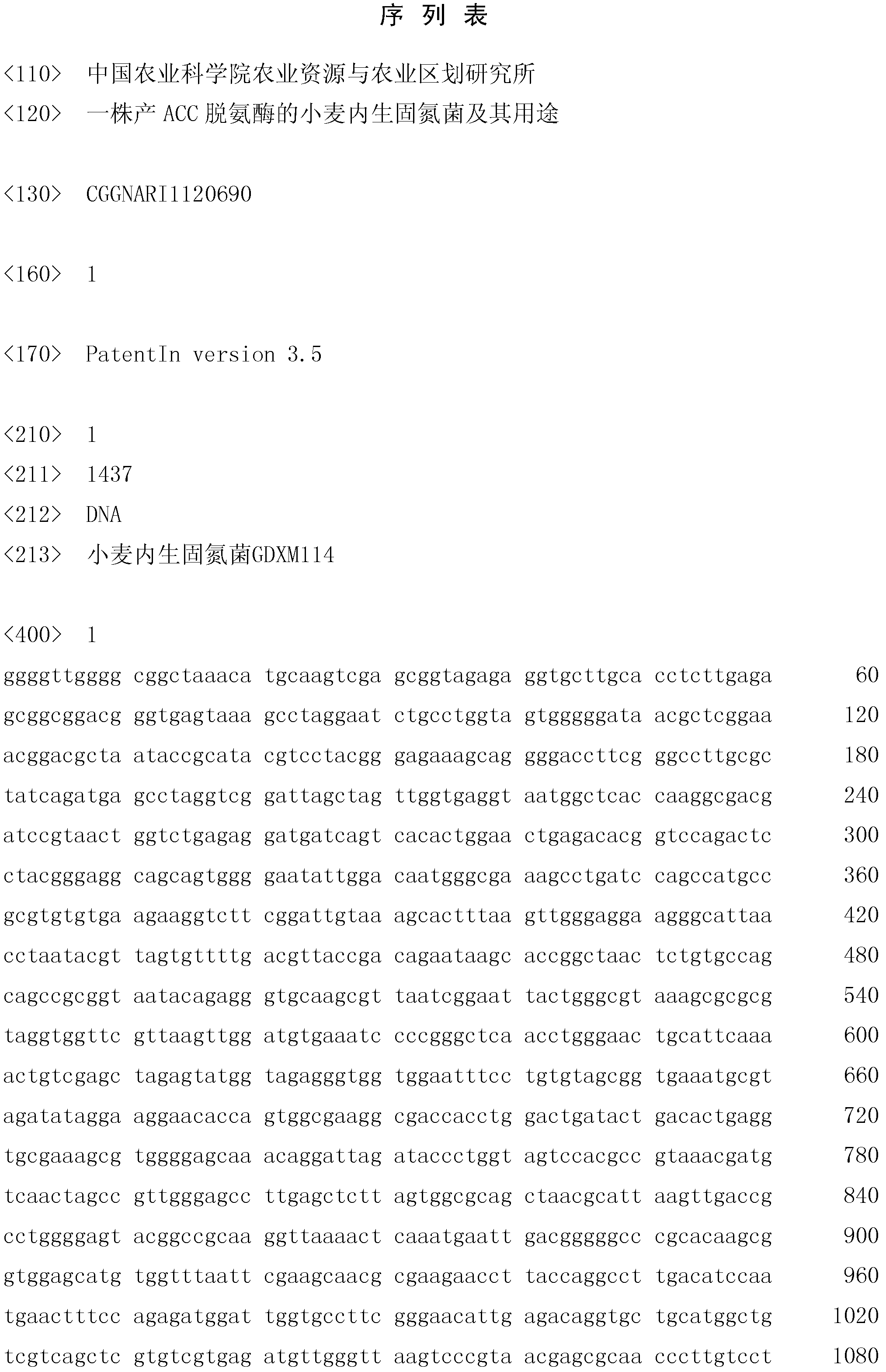 Endophytic azotobacter of wheat producing ACC (1-aminocyclopropane-1-carboxylate) deaminase and application thereof