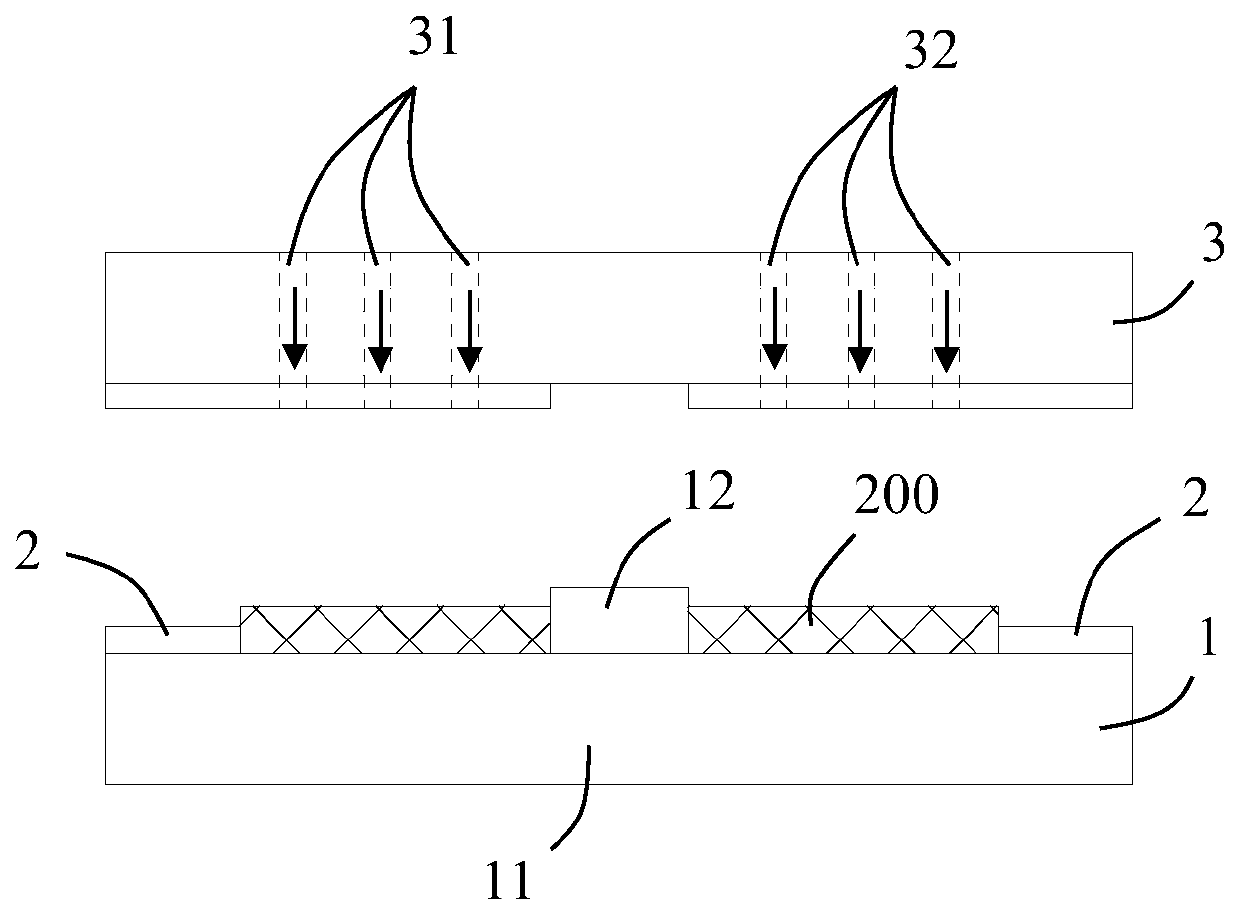 Coil shaping device and shaping method