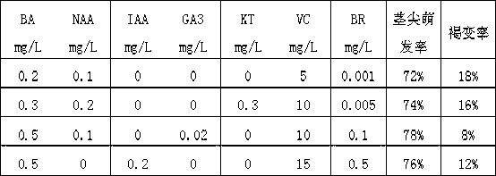 Initial culture medium special for preventing brown stain of strawberries and method for producing tissue culture strawberry seedlings by using initial culture medium