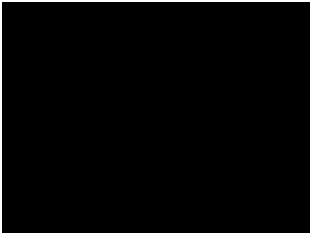 Compositions for the treatment of ischemic ulcers and stretch marks