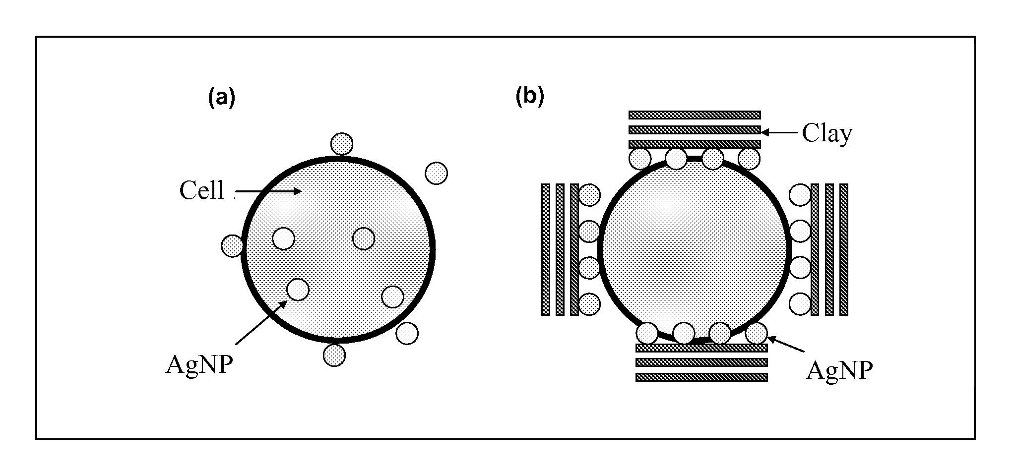 Stably-dispersing composite of metal nanoparticle and inorganic clay and method for producing the same