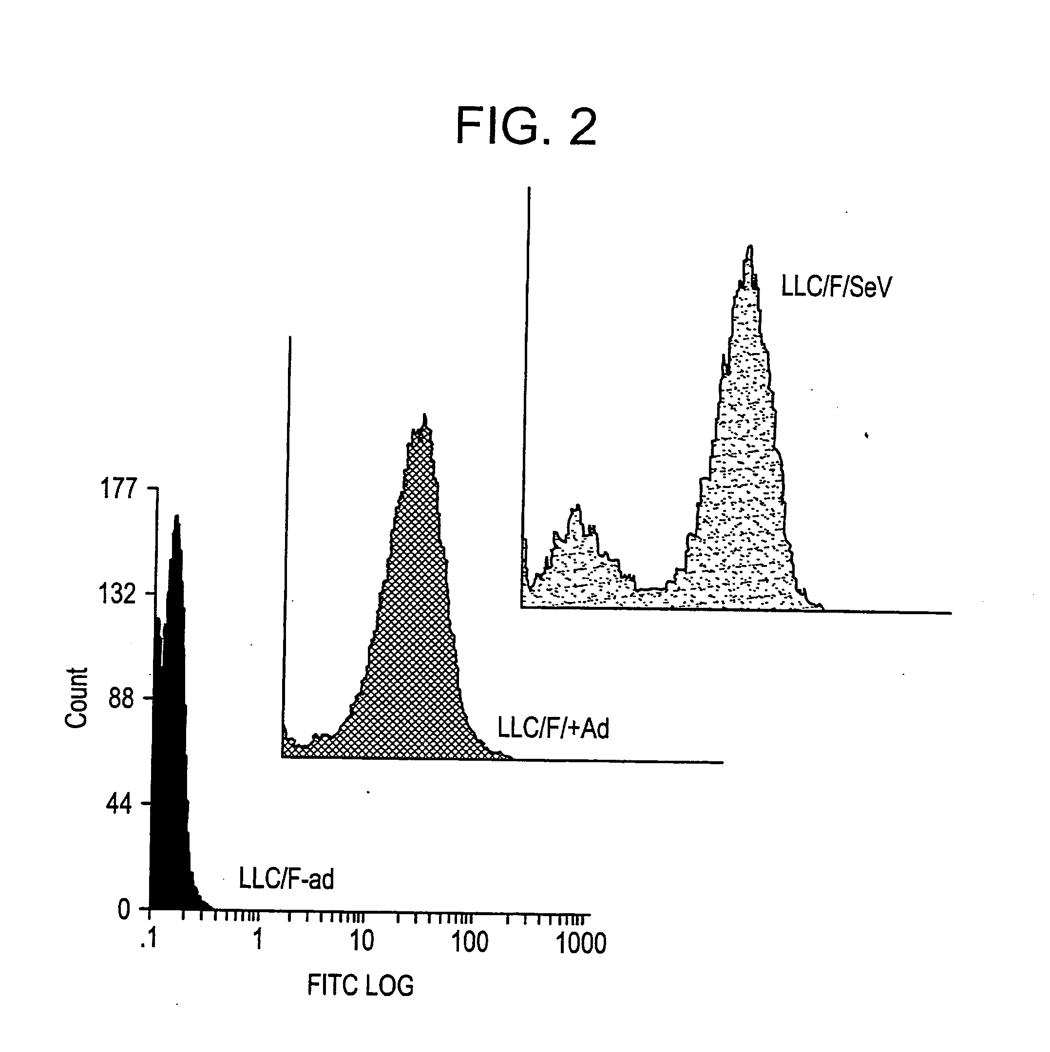 Paramyxovirus-derived RNP