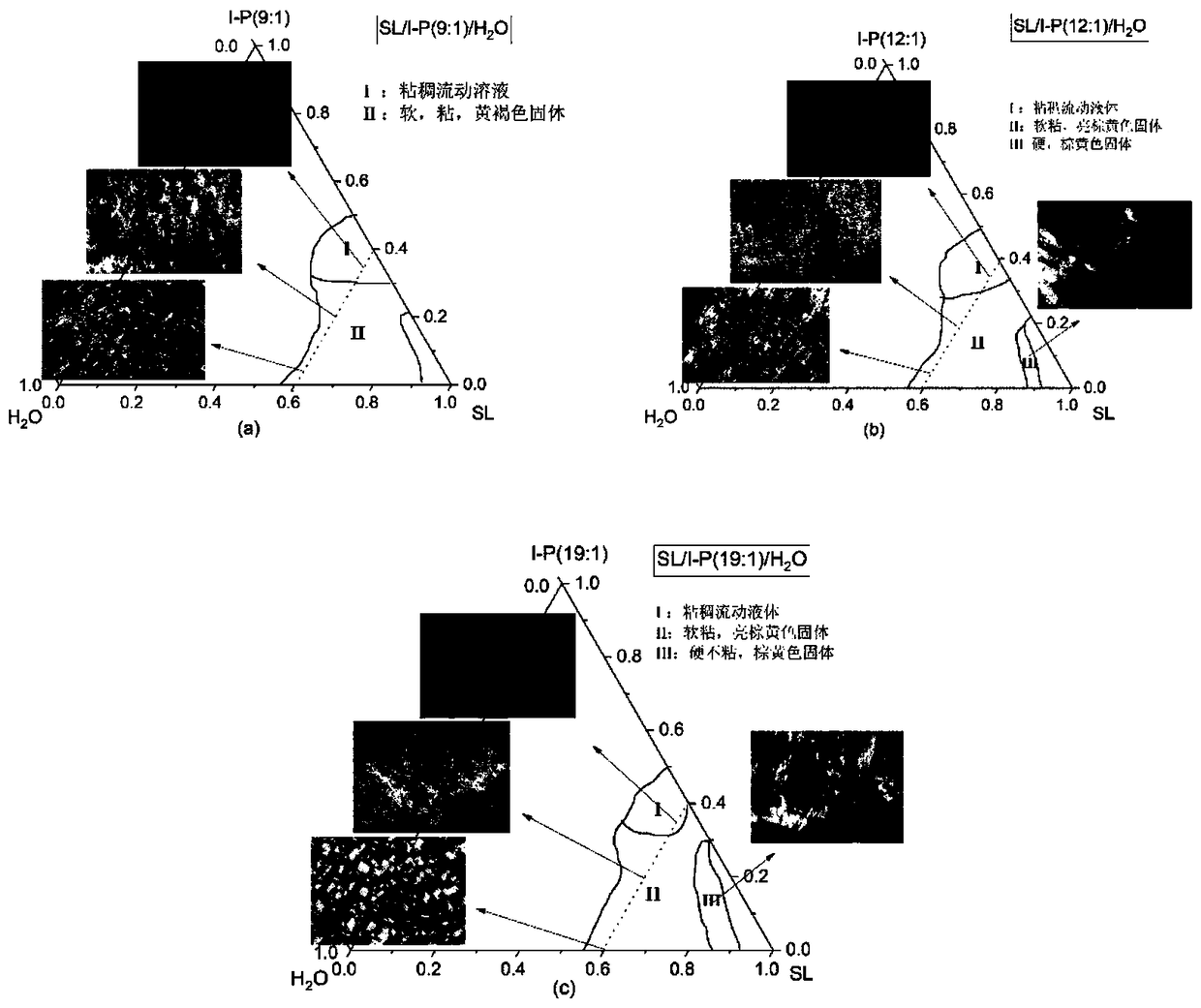 Lipid carrier with sustained-release function for polyphenols medicines with low water solubility, method for preparing lipid carrier and application thereof