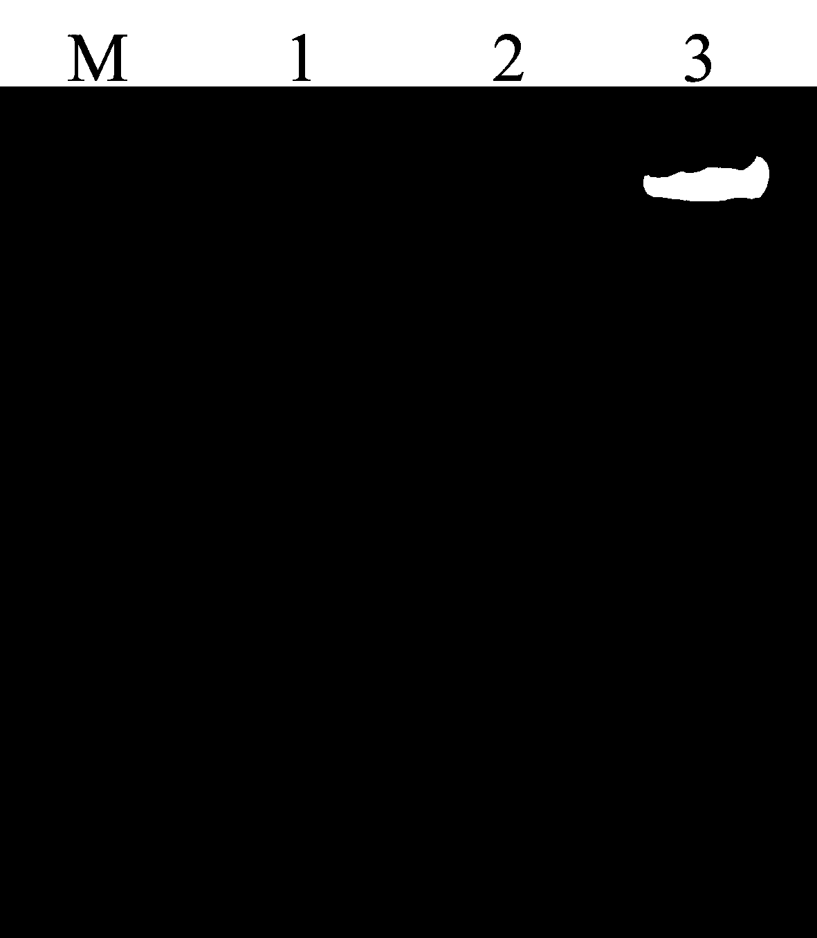 Simple and fast plant genome DNA extraction method