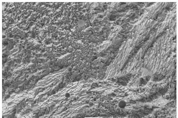 Low-temperature soldering paste added with anti-falling particles