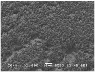 Low-temperature soldering paste added with anti-falling particles